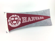 Load image into Gallery viewer, Harvard University Pennant Pillow - large