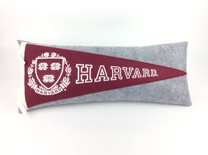 Harvard University Pennant Pillow - large