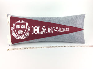 Harvard University Pennant Pillow - large
