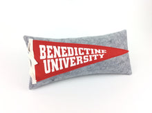 Load image into Gallery viewer, Benedictine University Pennant Pillow