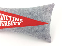 Load image into Gallery viewer, Benedictine University Pennant Pillow
