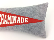 Load image into Gallery viewer, Chaminade High School Pennant Pillow