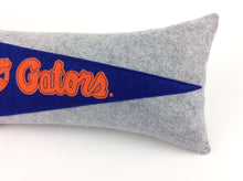 Load image into Gallery viewer, Florida Gators Pennant Pillow