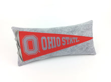 Load image into Gallery viewer, Ohio State University Buckeyes Pennant Pillow OSU
