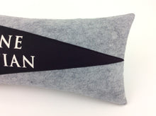 Load image into Gallery viewer, Abilene Christian University Pennant Pillow