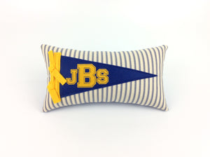 John Burroughs JBS mini pennant pillow
