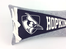 Load image into Gallery viewer, Custom order for Sloan -- Johns Hopkins Pennant Pillow