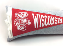 Load image into Gallery viewer, University of Wisconsin Badgers Pennant Pillow